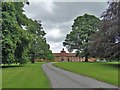 A view of Wiseton Hall Stables