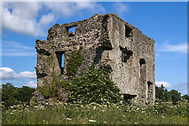 O2904 : Castles of Leinster: Newcastle Mckynegan, Co. Wicklow (2) by Mike Searle