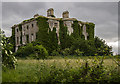 N4147 : Tudenham Park House, Co. Westmeath (2) by Mike Searle