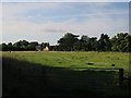 Horse paddock by Little Shelford