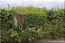 O0879 : Defending neutral Ireland in WWII: Boyne defences - Listoke pillbox (2) by Mike Searle