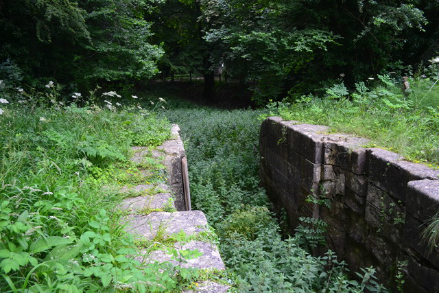 Overgrown lock on the disused Somerset Coal Canal