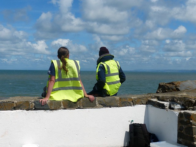 Dolphin watchers, New Quay, Ceredigion