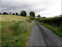 H5375 : Fernagh Road, Oxtown by Kenneth  Allen