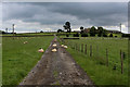 Access Lane to Park Grange Farm