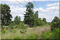 Power lines, Chobham Common