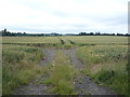 Crop field west of Wilford Road