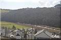 Wooded slopes of the Tamar Valley