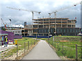 Building the new Papworth Hospital