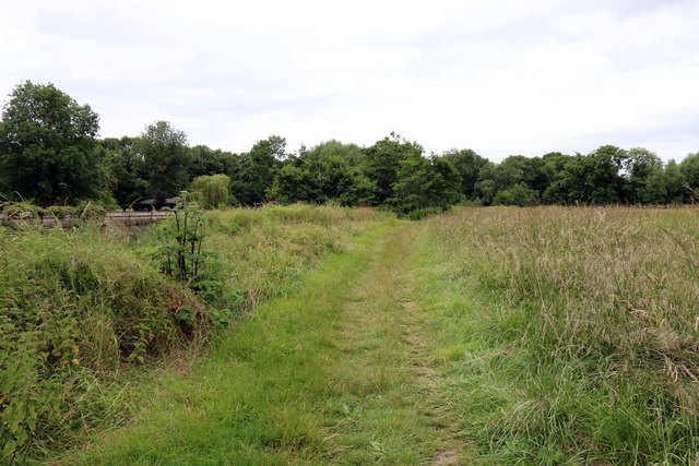 The Thames Path to Shillingford