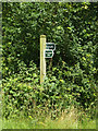 TL9581 : Footpath sign on Knettishall Road by Geographer
