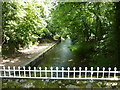 Footpath by The River Avon, Pewsey