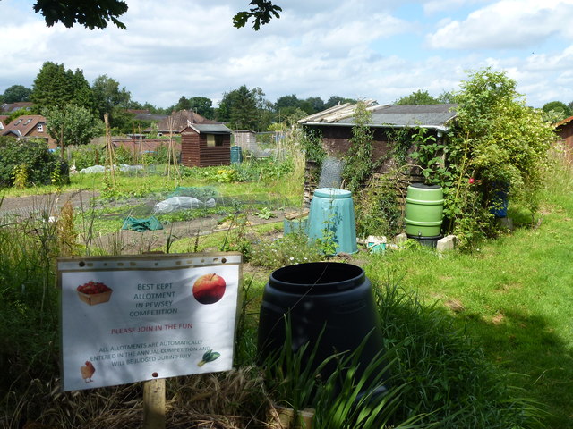 Best kept allotment competition - Pewsey