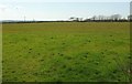 Field near Curtis Cross