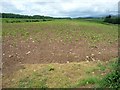 NY7020 : Arable crop in a dog-leg field, south of Low Barn by Christine Johnstone