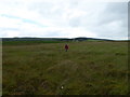 On Rhos Fiddle Nature Reserve