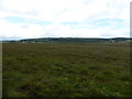 On Rhos Fiddle Nature Reserve looking west