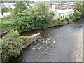 Confluence of the Rhondda Fach and Rhondda Fawr