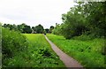 Public footpath to Church Lane, Cogges, Witney, Oxon