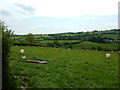 Fields near Longridge