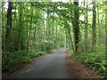 Styants Bottom Road, near Oldbury