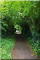 Tree-lined public footpath to Newland, Witney, Oxon