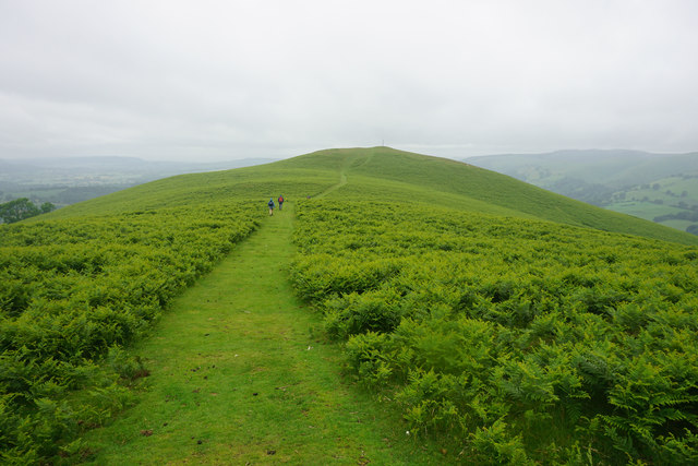 Path on Ragleth Hill