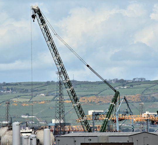 Green crane, Belfast harbour (May 2016)