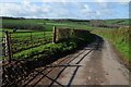 Country road near Orchard Farm