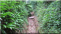 Sutton Lane-a footpath with evidence of a stream in winter