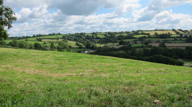 Hillside grazing above Butcombe