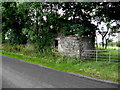 Ruined cottage, Beagh