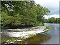 Weir on the River Teifi, Newcastle Emlyn