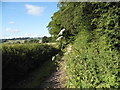 Field by Vinnells Lane, Marlands