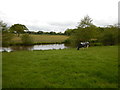 Farmland with Lake near Pennyfarthing Estates Farm House