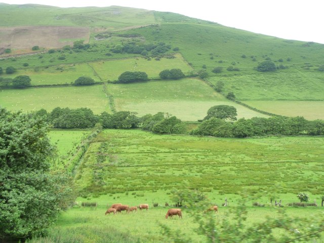 Farmland with parallel drains, valley of Afon Fathew