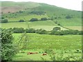 Farmland with parallel drains, valley of Afon Fathew