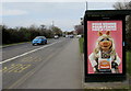 Warburtons advert featuring Miss Piggy, Cheltenham