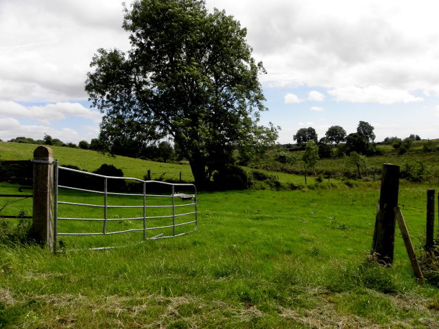 An open field, Oxtown © Kenneth Allen cc-by-sa/2.0 :: Geograph Ireland