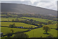 West Somerset : Countryside Scenery