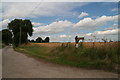 Driveway to Fir Tree Centre