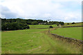 In the Valley created by Denholme Beck