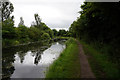 Erewash Canal near Eastwood