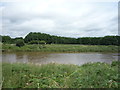 River Ribble near Junction 31, M6