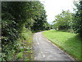 Cycle path beside the A59