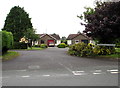 Charles Norris Gardens, New Hedges, Pembrokeshire