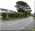 B4316 descends through New Hedges, Pembrokeshire