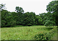 River Dart Flood Plain