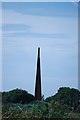 The spire seen from the allotments