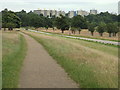 TQ2074 : Richmond Park by Malc McDonald